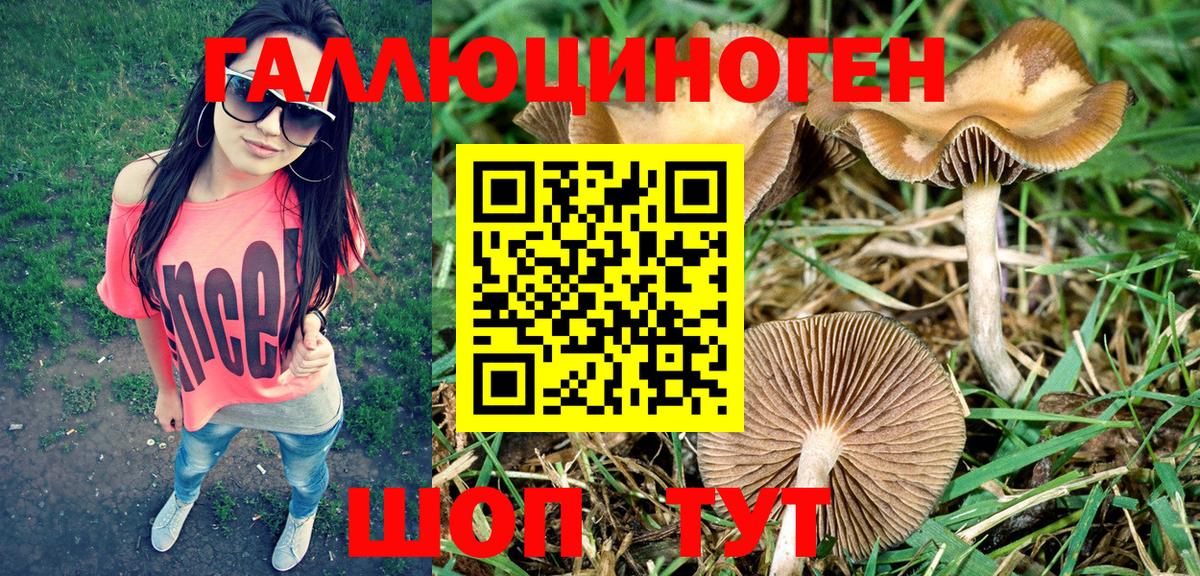 Галлюциногенные грибы Psilocybe  Галлюциногенные грибы ЛСД  Вход с VPN  Великие Луки 